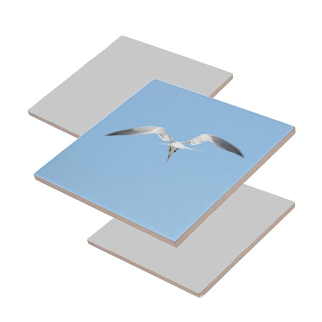 Royal Tern in Flight Coastal Blue Fliese (1 of 7 coordinating coastal Terns in flight ceramic tiles)