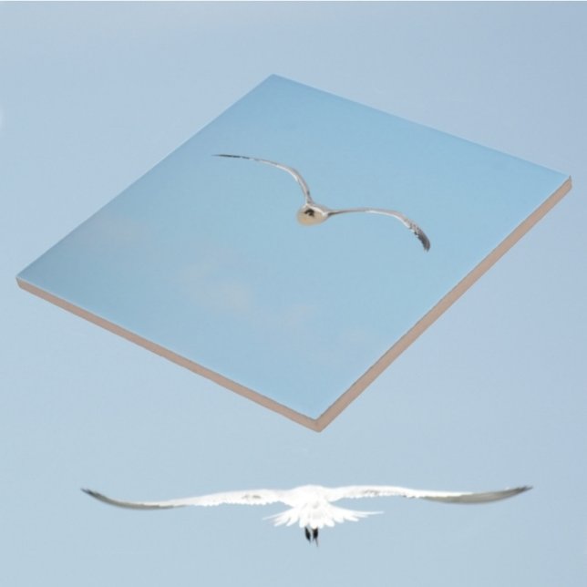 Royal Tern in Flight Coastal Sky Blue Fliese (1 of 7 coordinating coastal sky blue ceramic tiles with Royal Terns in flight)