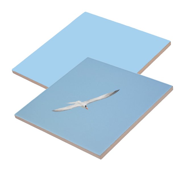 Royal Tern in Flight Fliese (1 of 7 coordinating Royal Terns in Flight ceramic tiles)