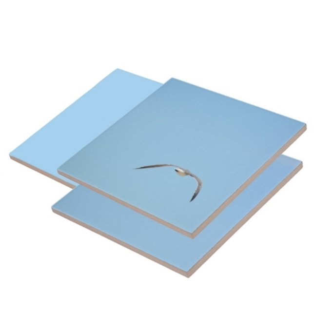 Royal Tern in Flight Seabird Coastal Blue Fliese (1 of 7 coordinating Terns in flight sky blue ceramic tiles)