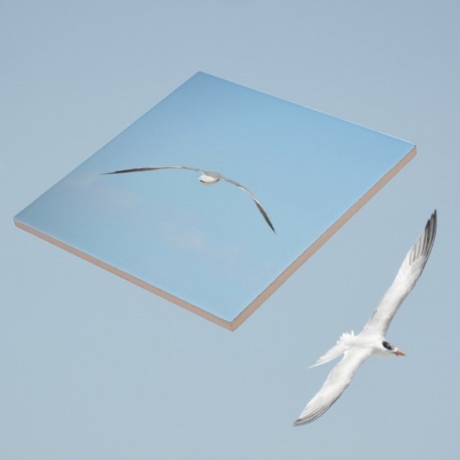 Royal Tern in Flight Wings Spread Sky Coastal Blue Fliese (Von Creator hochgeladen)