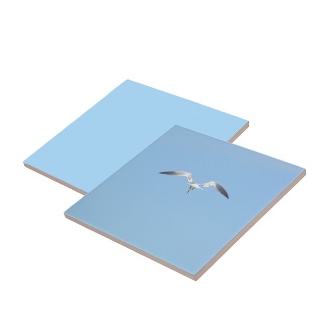 Royal Tern Seabird in Flight Sky Blue Fliese (1 of 7 coordinating sky blue Seabird in flight ceramic tiles)