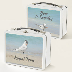 Royal Tern Seabirds Bow bis Royalty Beach Metall Brotdose