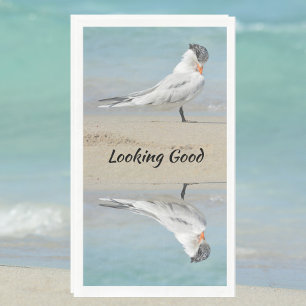 Royal Tern Serviette