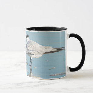 Royal Terns am Strand Tasse