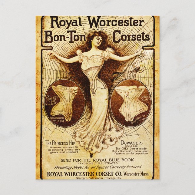 Royal Worcester Korsetts Postkarte (Vorderseite)