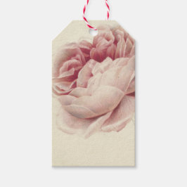 Roze Roos (1792) - Zeitlose Vintage botanische Kun Geschenkanhänger