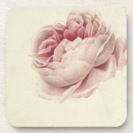 Roze Roos (1792) - Zeitlose Vintage botanische Kun Getränkeuntersetzer