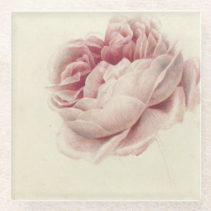 Roze Roos (1792) - Zeitlose Vintage botanische Kun Glasuntersetzer