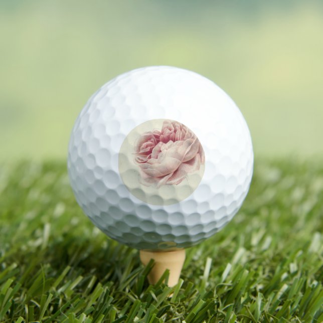 Roze Roos (1792) - Zeitlose Vintage botanische Kun Golfball (Insitu T-Shirt)