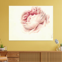 Roze Roos (1792) - Zeitlose Vintage botanische Kun