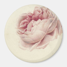 Roze Roos (1792) - Zeitlose Vintage botanische Kun Magnet