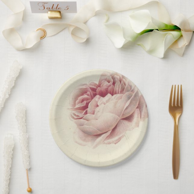 Roze Roos (1792) - Zeitlose Vintage botanische Kun Pappteller (Hochzeit)