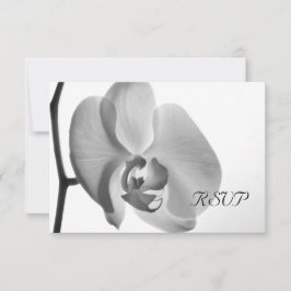 RSVP-Antwortkarte für die White Orchid-Hochzeit RSVP Karte