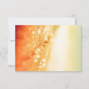 RSVP-Karten für Hochzeiten RSVP Karte