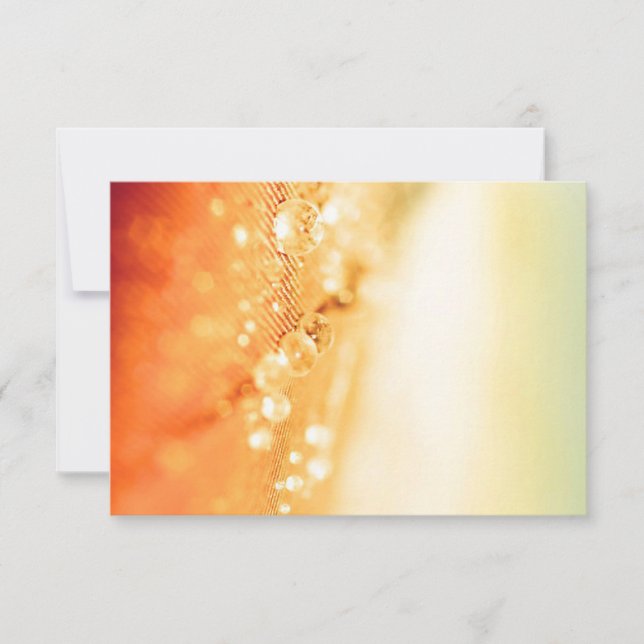 RSVP-Karten für Hochzeiten RSVP Karte (Vorderseite)