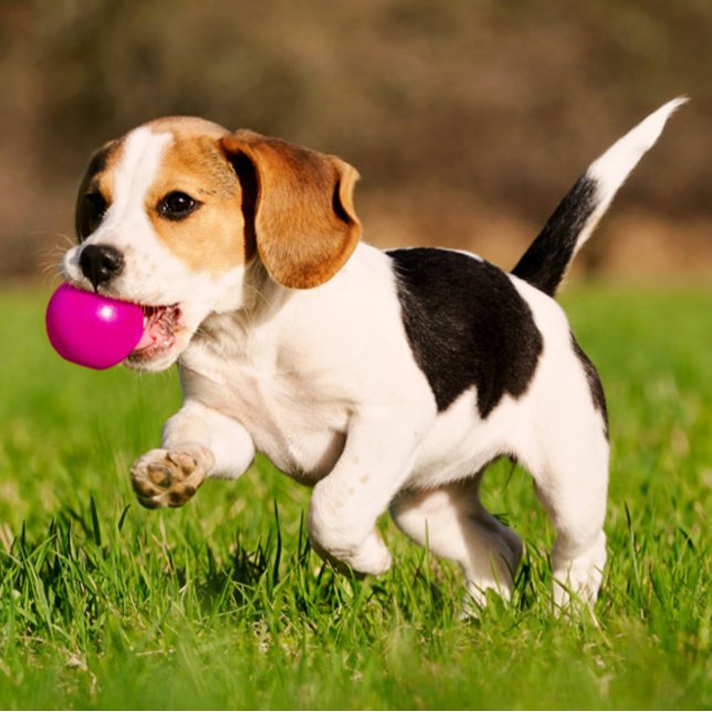 Rthrdhtr Einladung (Von Creator hochgeladen)