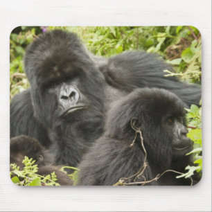 Ruanda, Volcanos-Nationalpark Mousepad