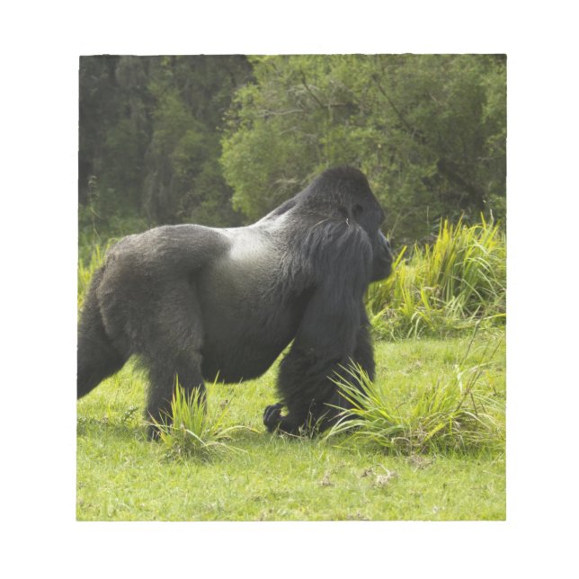 Ruanda, Volcanos-Nationalpark Notizblock (Vorderseite)