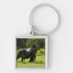 Ruanda, Volcanos-Nationalpark Schlüsselanhänger