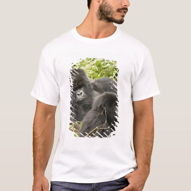 Ruanda, Volcanos-Nationalpark T-Shirt (Vorderseite)