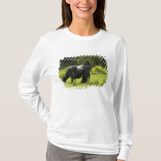 Ruanda, Volcanos-Nationalpark T-Shirt (Vorderseite)