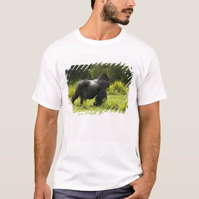 Ruanda, Volcanos-Nationalpark T-Shirt (Vorderseite)