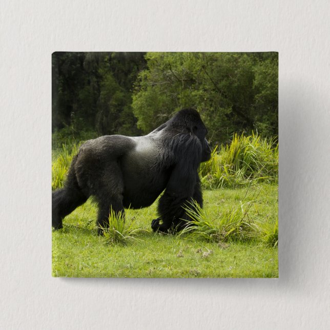 Ruanda, Vulkan-Nationalpark Button (Vorderseite)