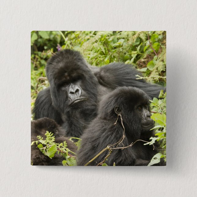 Ruanda, Vulkan-Nationalpark Button (Vorderseite)