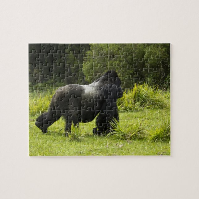 Ruanda, Vulkan-Nationalpark Puzzle (Horizontal)