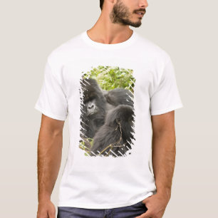 Ruanda, Vulkan-Nationalpark T-Shirt