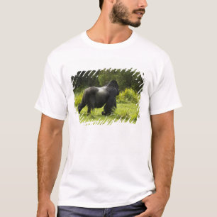 Ruanda, Vulkan-Nationalpark T-Shirt