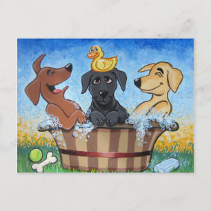 Rub a dub 3 Labs in a Tub Postcard Postkarte