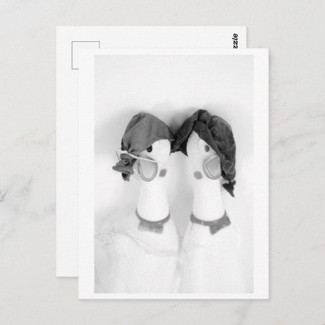Rubber chickens - The Balloon Twins Postkarte (Vorne/Hinten)