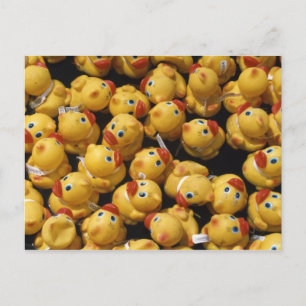 Rubber-Ducky-Rennen - Postkarte