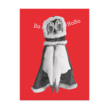 Rubber Hühnchen Santa Postcard