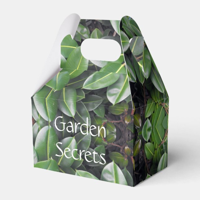 Rubber Tree Leaf Muster Geschenkschachtel (Vorderseite)