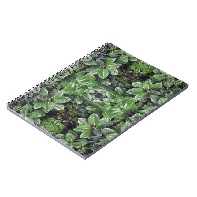 Rubber Tree Leaf Muster Notizblock (Linke Seite)