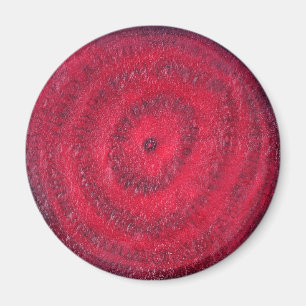 Rüben Magnet