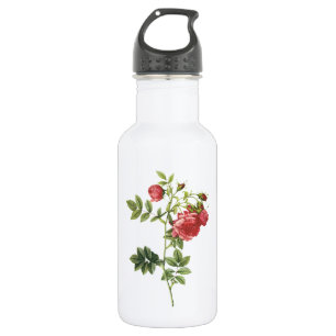 Rübenbaum-Rose (Rosa rapa) von Redouté Edelstahlflasche