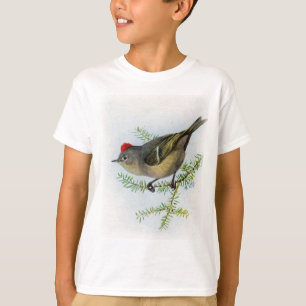 Rubin-gekrönter Kinglet T-Shirt