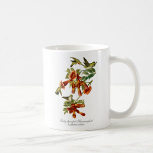 Rubin-throated Kolibri-Kaffee-Tasse Kaffeetasse