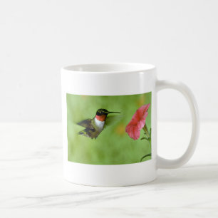 Rubin-throated Kolibri (Mann) mit Petunie Tasse