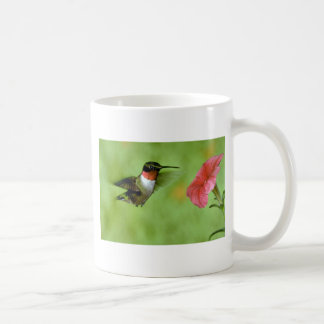 Rubin-throated Kolibri (Mann) mit Petunie Tasse
