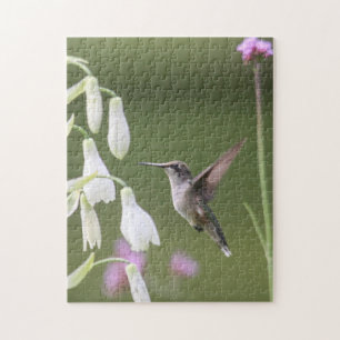 Rubin-throated Kolibri Puzzle