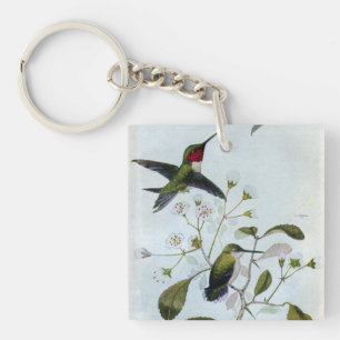 Rubin-throated Kolibris Schlüsselanhänger