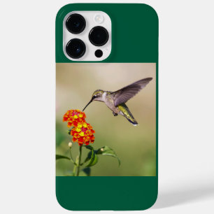 Rubinkehlkolibri Case-Mate iPhone 14 pro max hülle