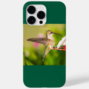 Rubinkehlkolibri Case-Mate iPhone 14 pro max hülle
