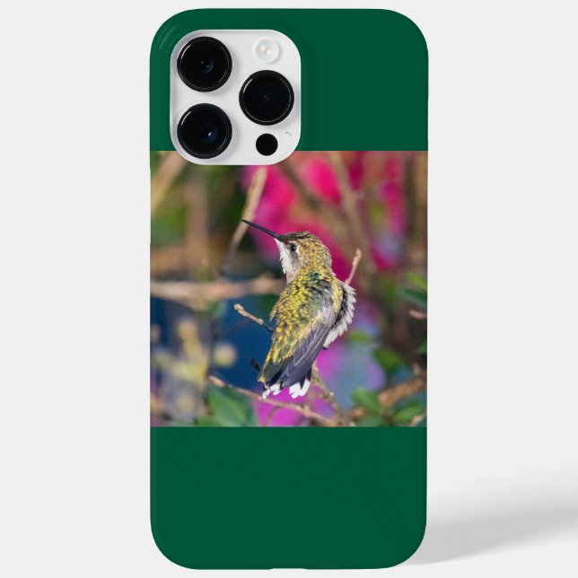 Rubinkehlkolibri  Case-Mate iPhone hülle (Rückseite)