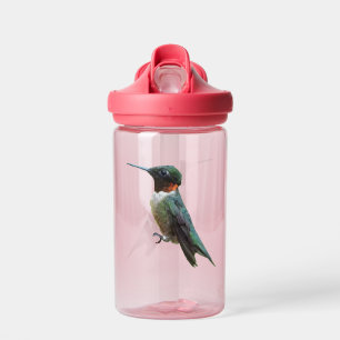 Rubinkehlkolibri-Fotografie Trinkflasche